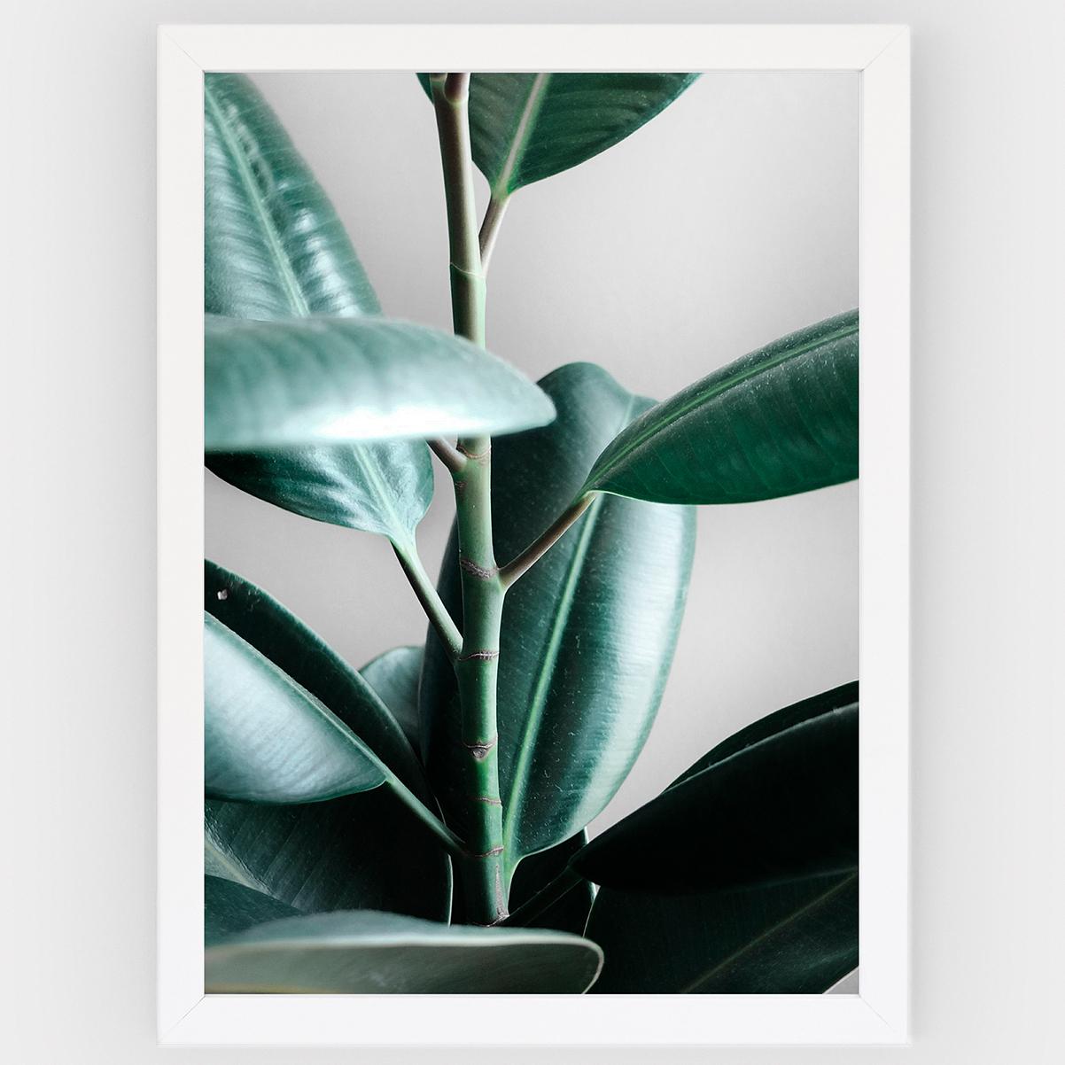 Poster Leaf II