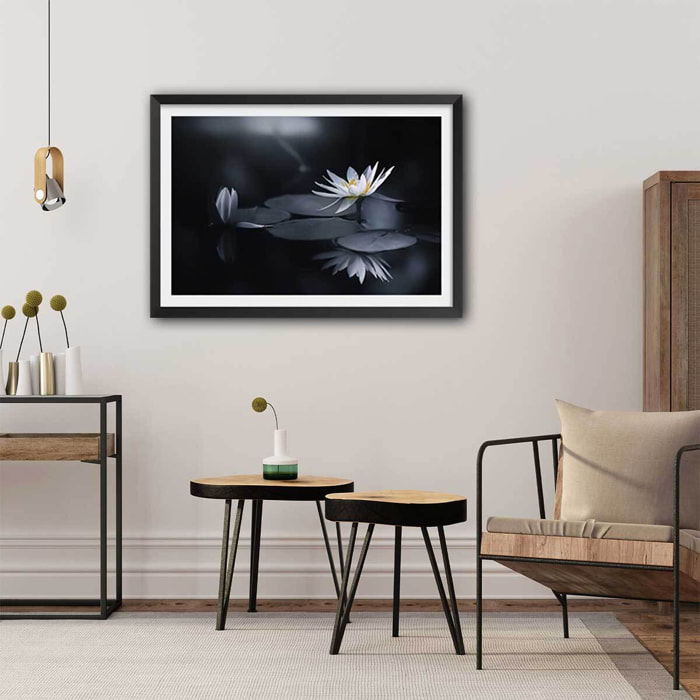 Affiche fleurs Alba nénuphar Affiche sous cadre noir