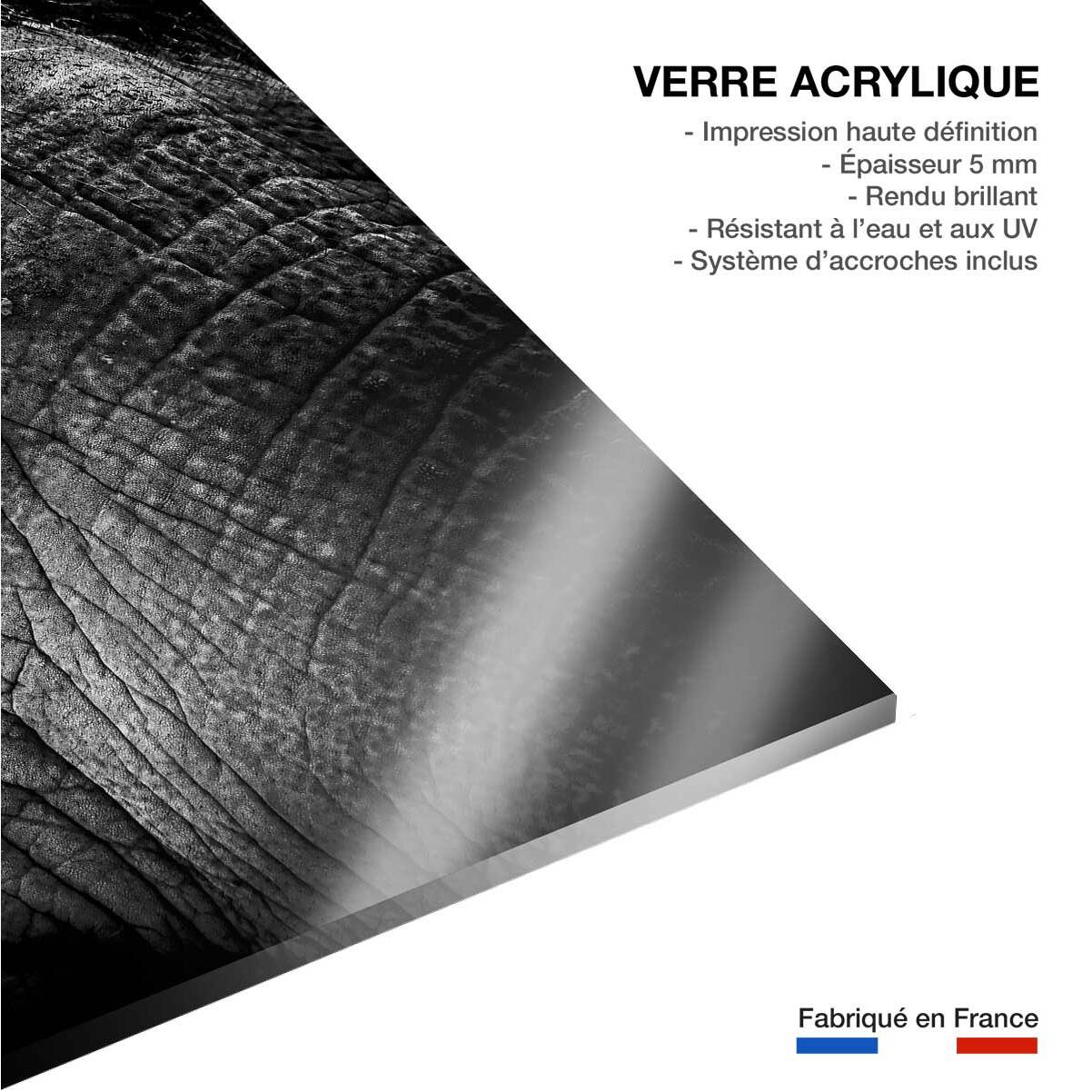 Tableau eléphant close up Tableau plexiglas