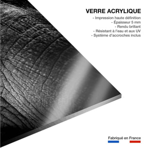 Tableau eléphant close up Tableau plexiglas