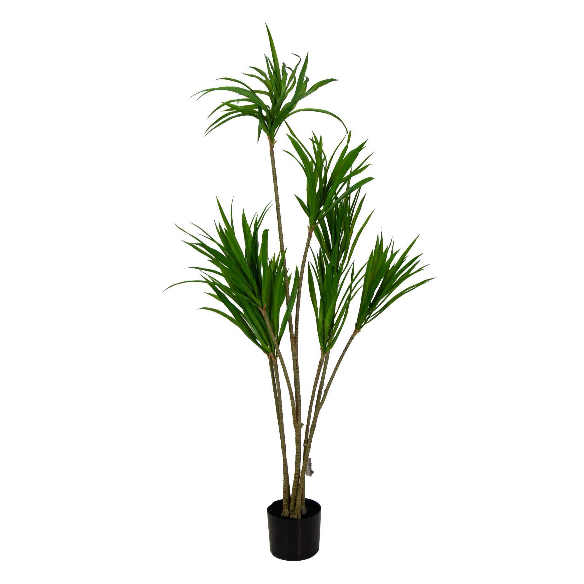 Pianta artificiale Vacchetti in plastica dracena marginata cm h130