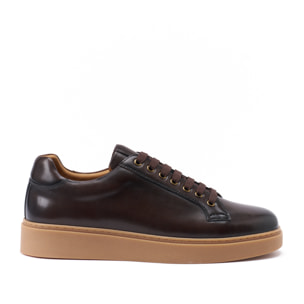 Sneaker British Passport Testa di Moro