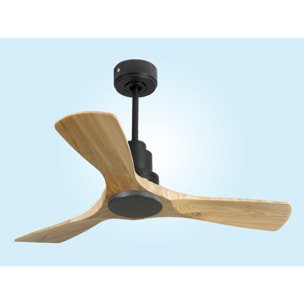 Ventilador de techo Reversible Termostato Wifi Motor DC Techos Inclinados Mando a Distancia Hypersilence Memoria RarotongaD106C0467218 PURLINE