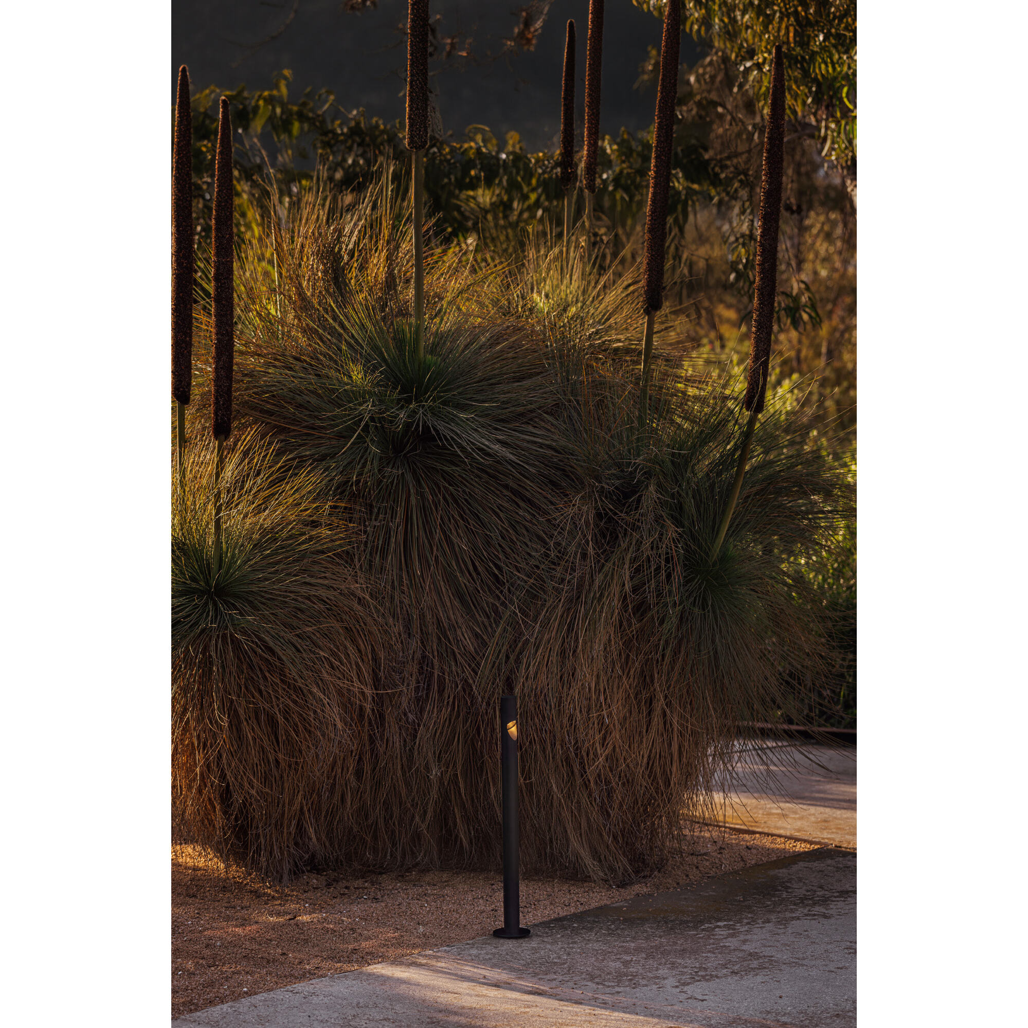 BEZEL Lampe balise noire