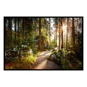 Affiche encadrée – Chemin forestier ensoleillé Affiche + cadre en métal - Noir