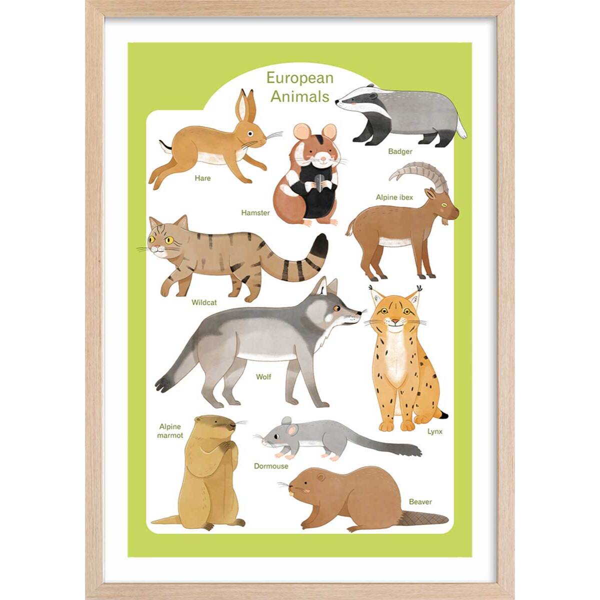 Affiche enfant animaux d'europe  Affiche + cadre en bois - Chêne