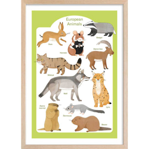 Affiche enfant animaux d'europe  Affiche + cadre en bois - Chêne