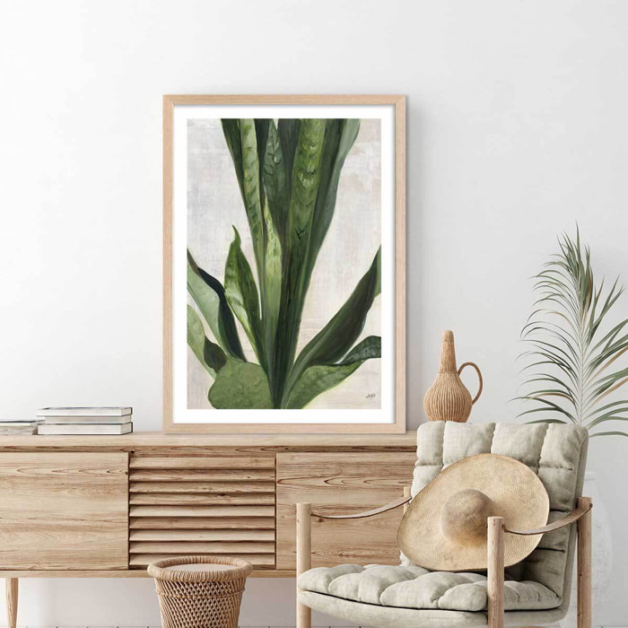 Poster Sanseveria aquarelle Affiche + cadre en bois - Chêne