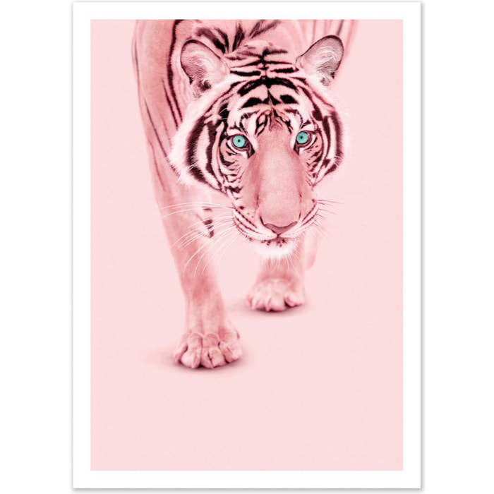 Affiche - Pink tiger - Paul Fuentes