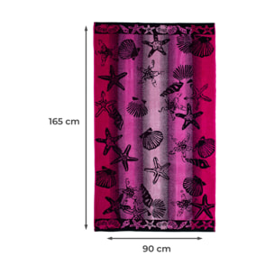 Telo Mare Spugna Jacquard Spiaggia Disegno New Shell