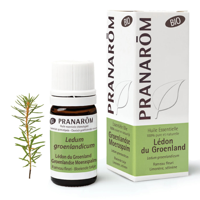 Pranarom - Huile Essentielle de Lédon du Groenland - Bio - 5 ml