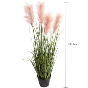 Festuca Glauca Con Vaso H.115 Cm - Pezzi 1 - 50X115X50cm - Colore: Verde - Bianchi Dino - Piante Grandi Invasate