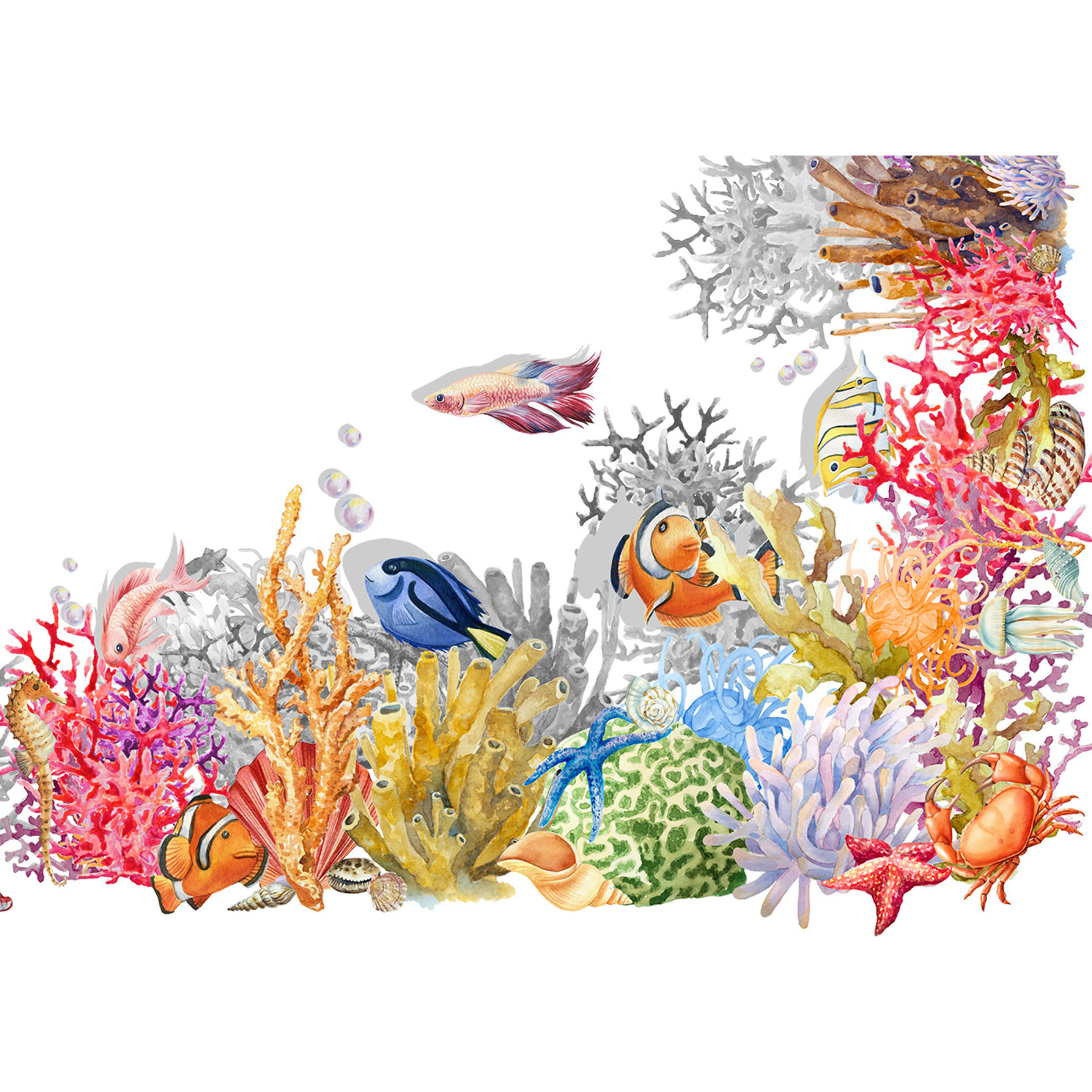 Tovaglia Stampa Digitale 100% Cotone Disegno Nemo