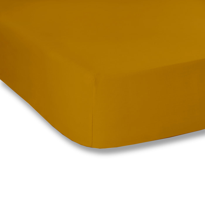 WHITE & WHITE Lenzuolo con angoli singolo 100% cotone raso Giallo oro