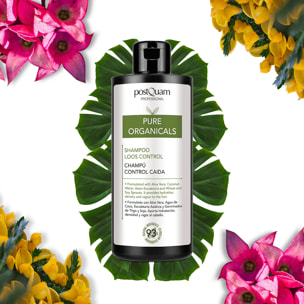 Shampooing anti-chute biologique 400ml