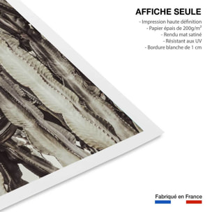 Poster cactus mood Affiche seule