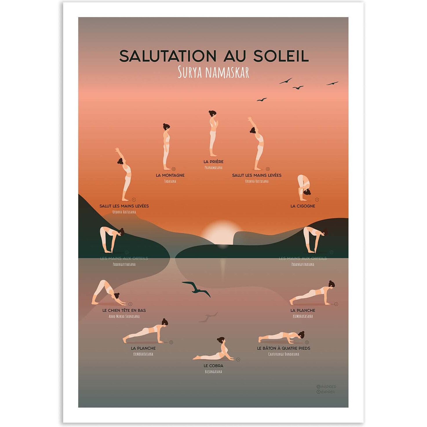 Affiche - Yoga Salutation au soleil - Frog Posters