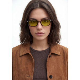 Gafas De Sol D. Franklin Hackney