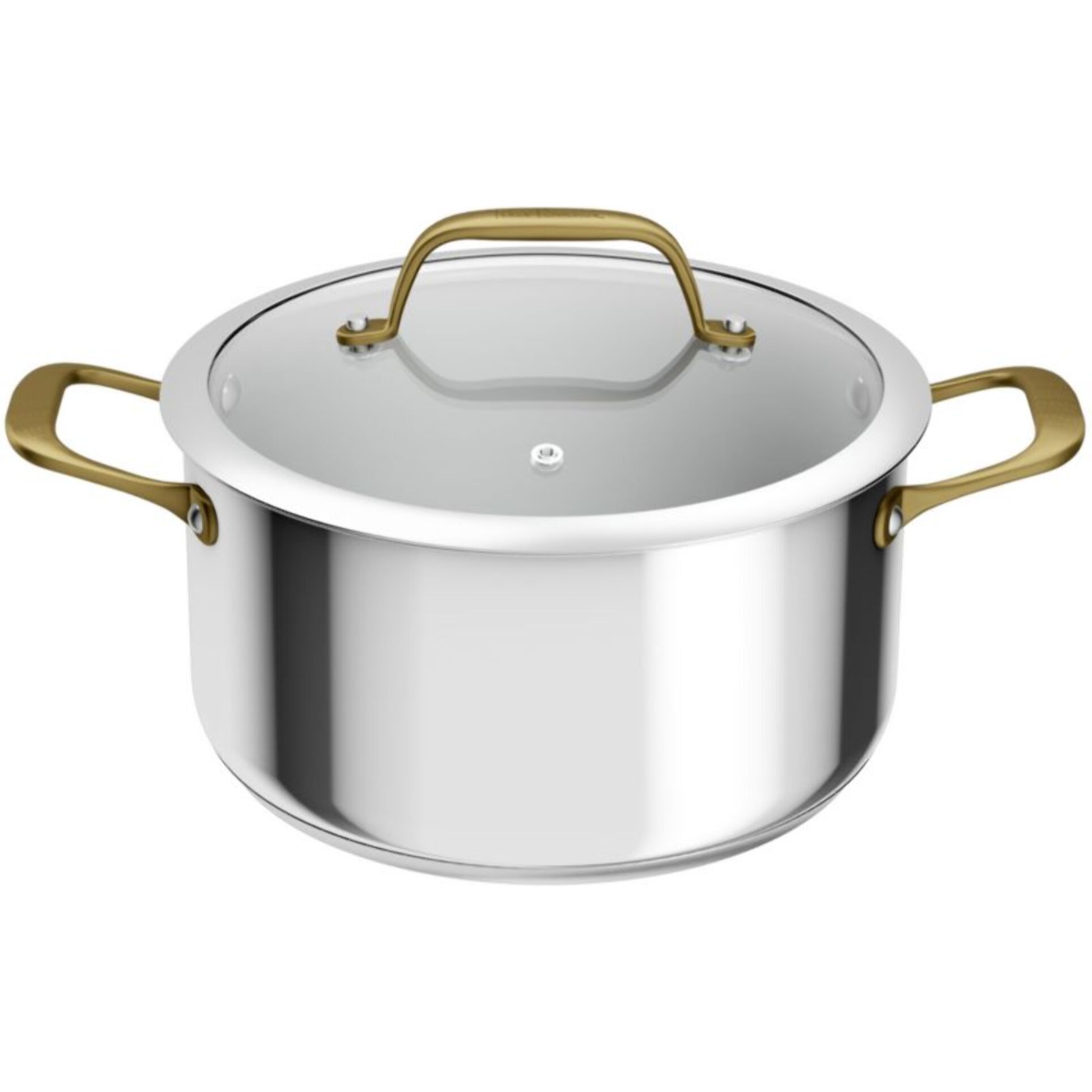 Faitout TEFAL 24cm Edition Bocuse