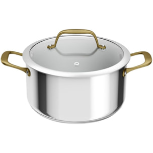Faitout TEFAL 24cm Edition Bocuse