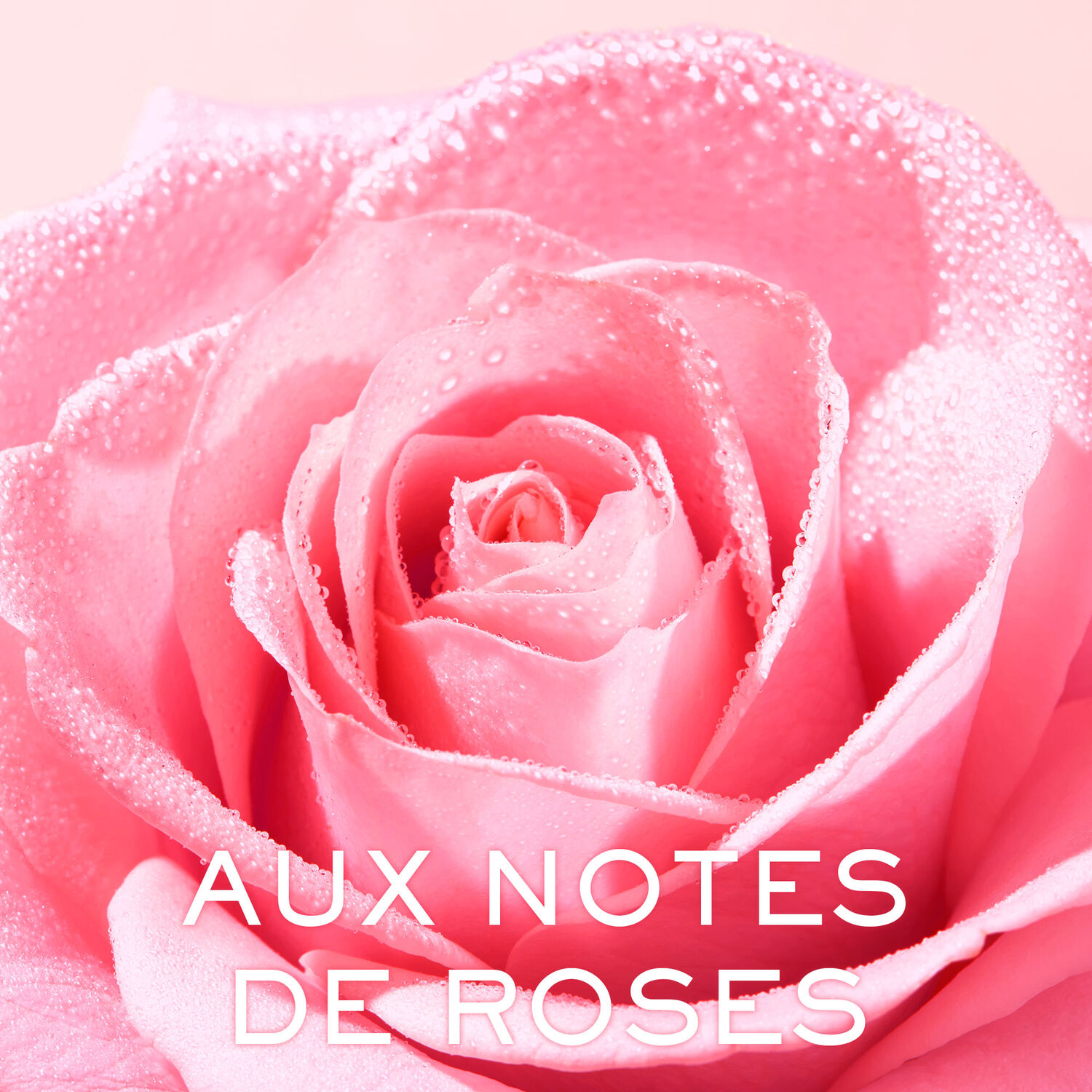 Very Rose - Lait démaquillant onctueux Very Rose 200ml