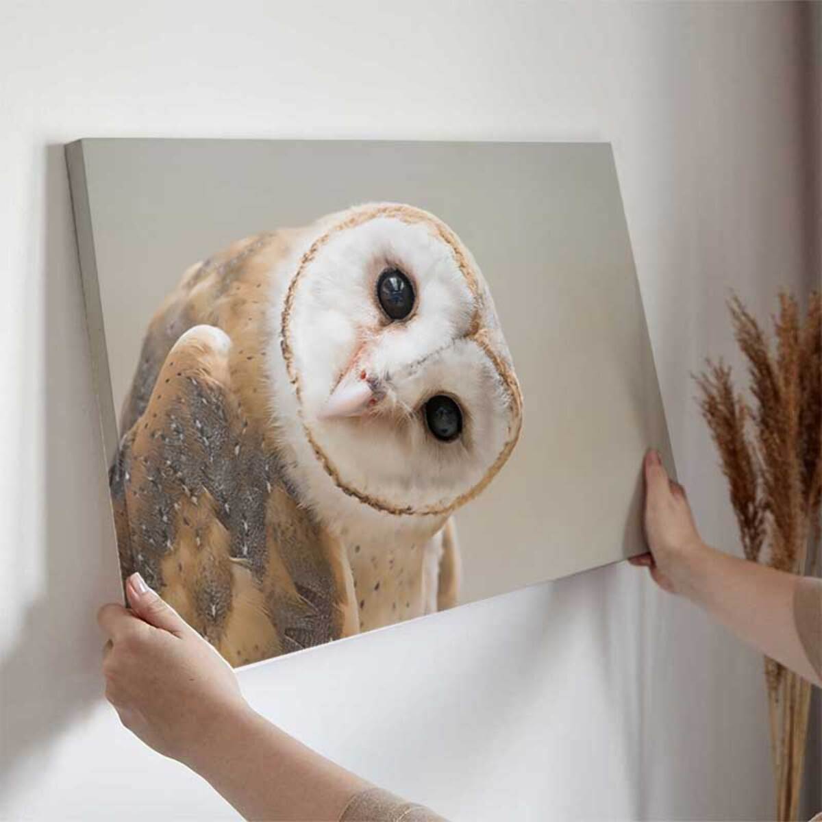 Tableau hibou élégant au regard intense Toile imprimée