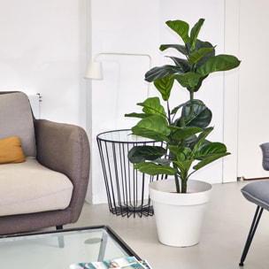 Planta Artificial Ficus Lyrata 120cm