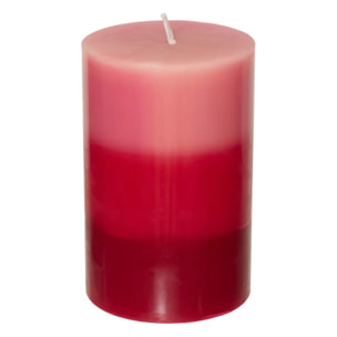 Bougie parfumée fruits rouges 310g