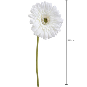 Fiore Di Gerbera Singolo. Altezza 62 Cm - Pezzi 12 - 12X62X12cm - Colore: Bianco - Bianchi Dino - Fiori Artificiali