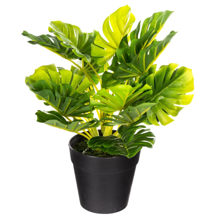 Plante artificielle - pot en ciment - H30 cm