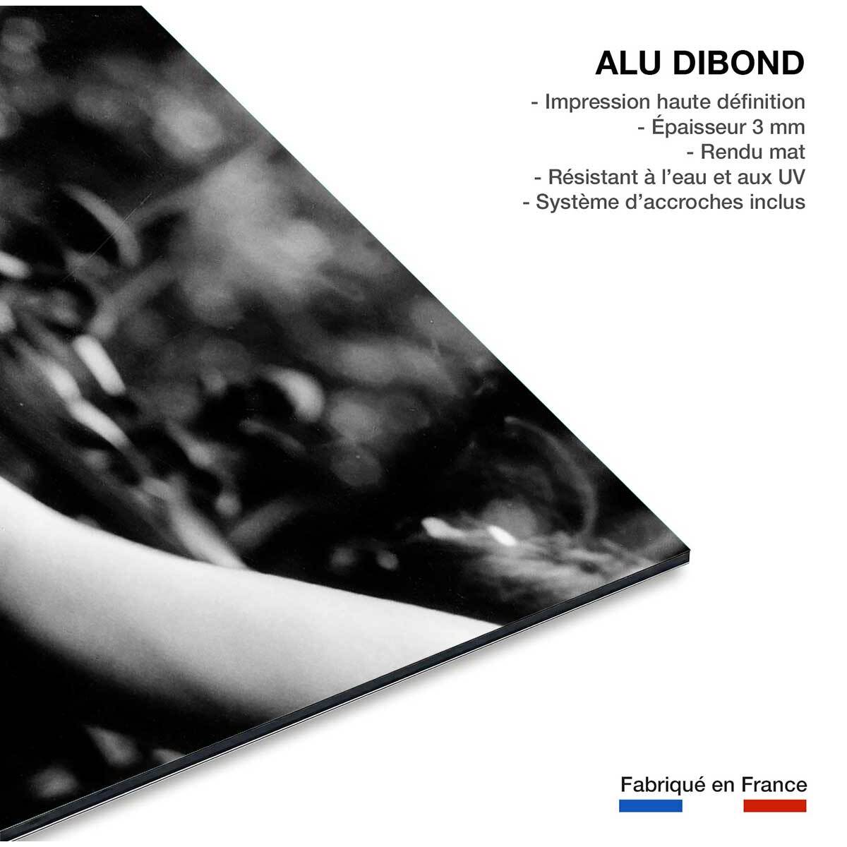 Tableau dalida en 1961  Tableau alu Dibond