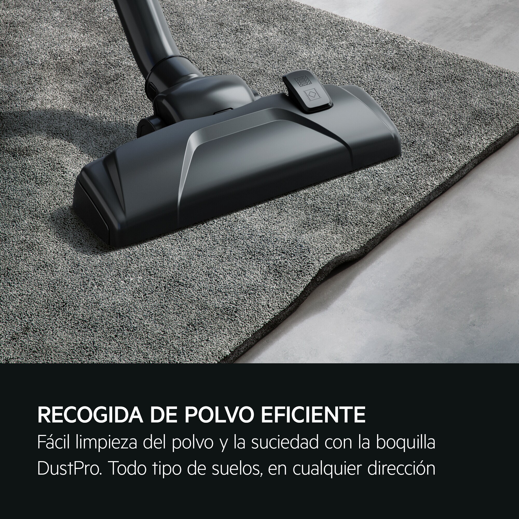 AEG Aspiradora con bolsa 3000 de 650 W y 78 dB(A) AB31C1GG