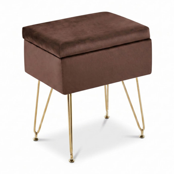 Panca Contenitore in Effetto Velluto con Seduta Imbottita e Vano Portaoggetti, Design Moderno con Gambe in Acciaio per Ingresso, Camera da Letto e Soggiorno