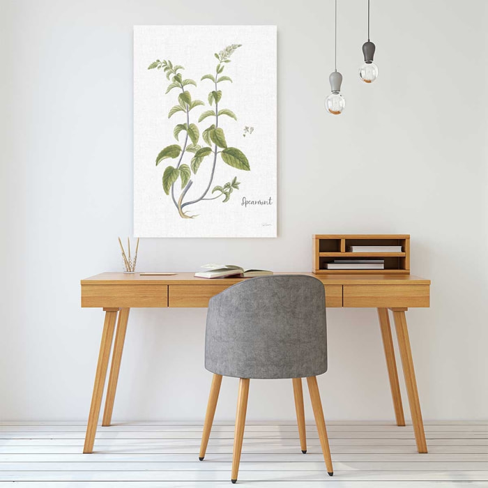 Tableau fleurs menthe verte illustrée Toile imprimée