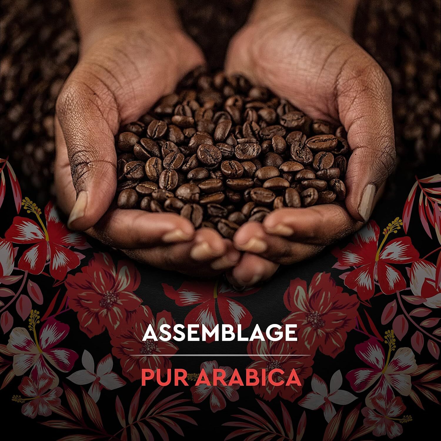 Carte Noire Grains Honduras Bio 500G