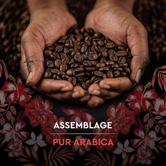 Carte Noire Grains Honduras Bio 500G