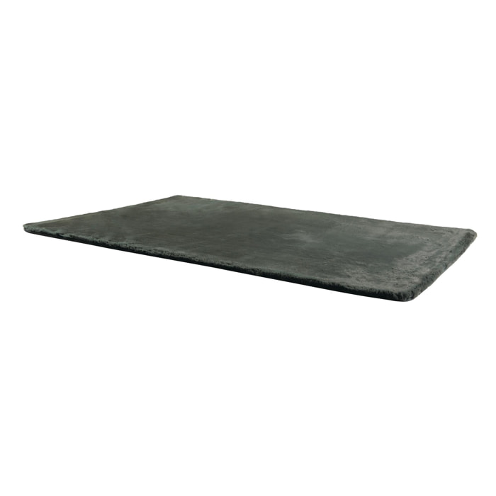 Tapis Eddy