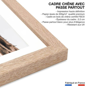 Affiche animaux prendre de la hauteur Affiche + cadre en bois - Chêne