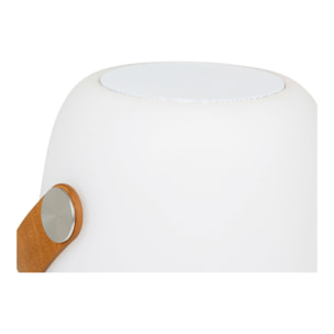 Lampada LED Cardiff con Speaker Bluetooth — Bianca Ricaricabile Ø18×21 cm