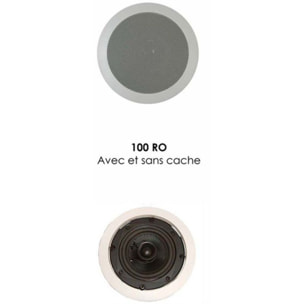 Enceinte encastrable DAVIS 100 RO