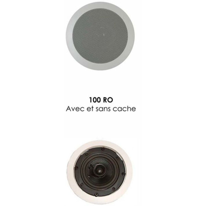 Enceinte encastrable DAVIS 100 RO