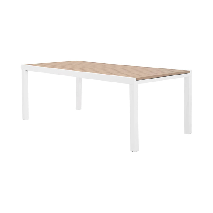 Table de jardin extensible aluminium 10-12 places ELORA