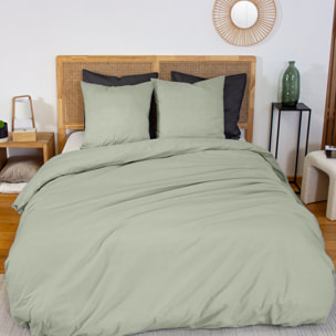 Drap housse percale de coton 65 fils uni - vert sauge