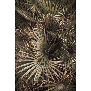 Tableau tropicana mood Tableau plexiglas