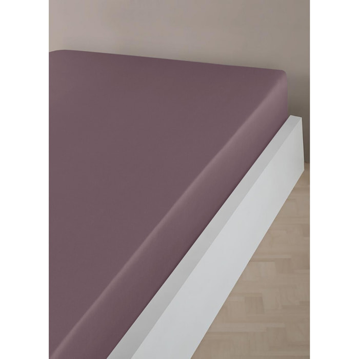 Drap housse satin de coton sureau