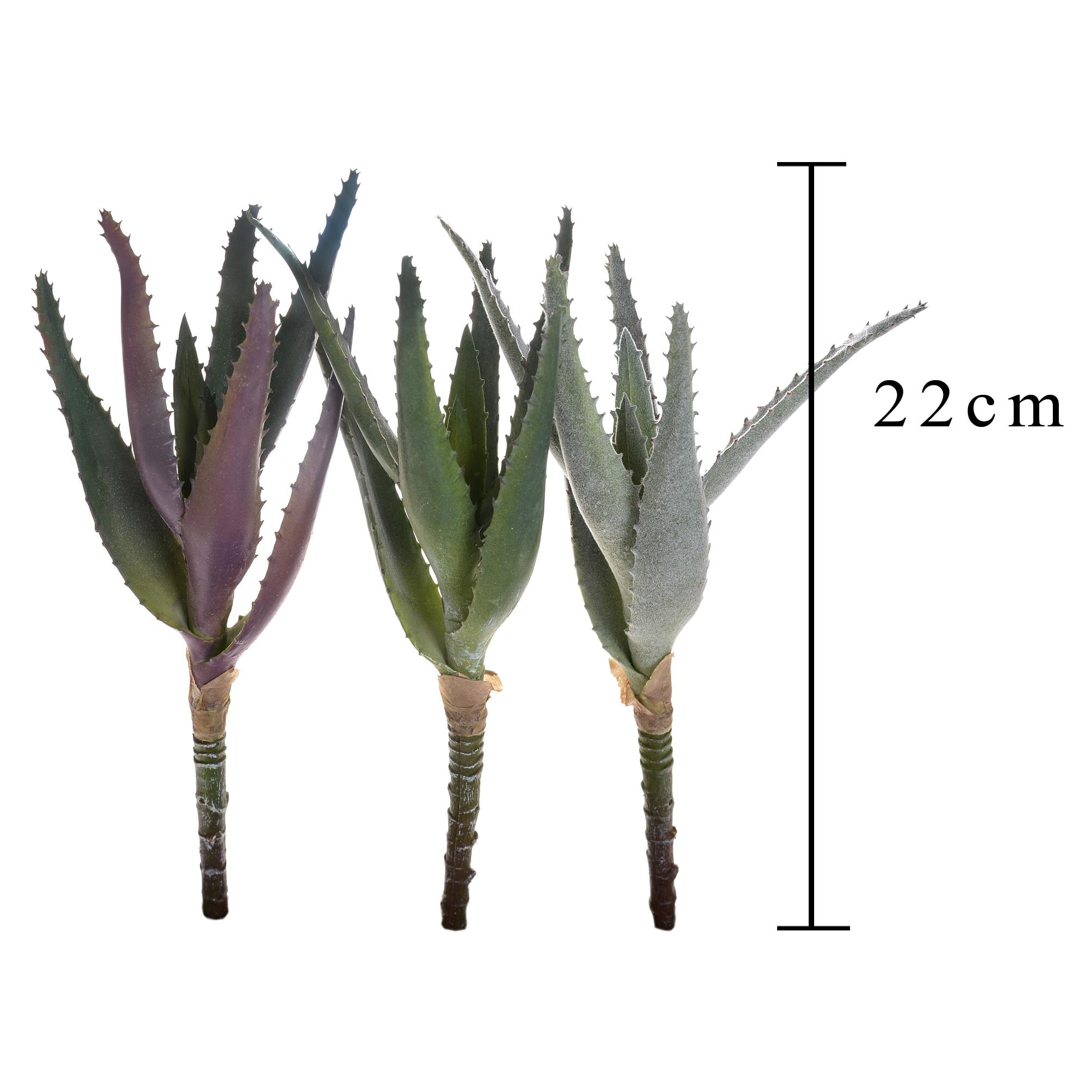 Mini Aloe. Altezza 22 Cm - Pezzi 6 - 6X22X6cm - Colore: Multicolore - Bianchi Dino - Piante Artificiali