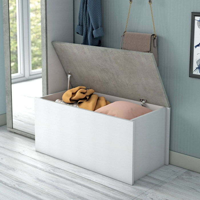 Baule Miltonia, Capiente box contenitore multiuso, Cassapanca moderna, 100% Made in Italy, Cm 90x45h45, Bianco e Cemento