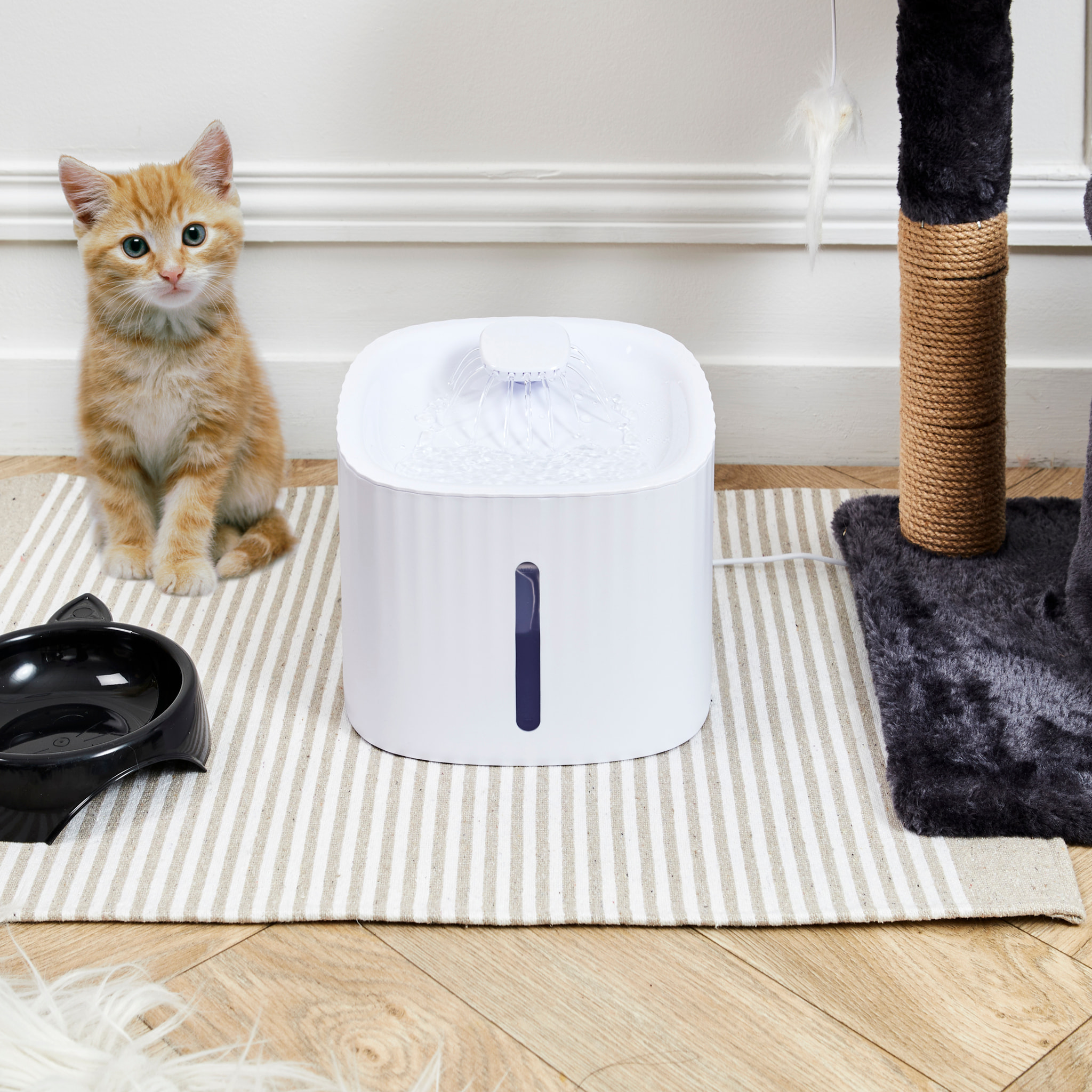 Fontaine A Eau Pour Chat