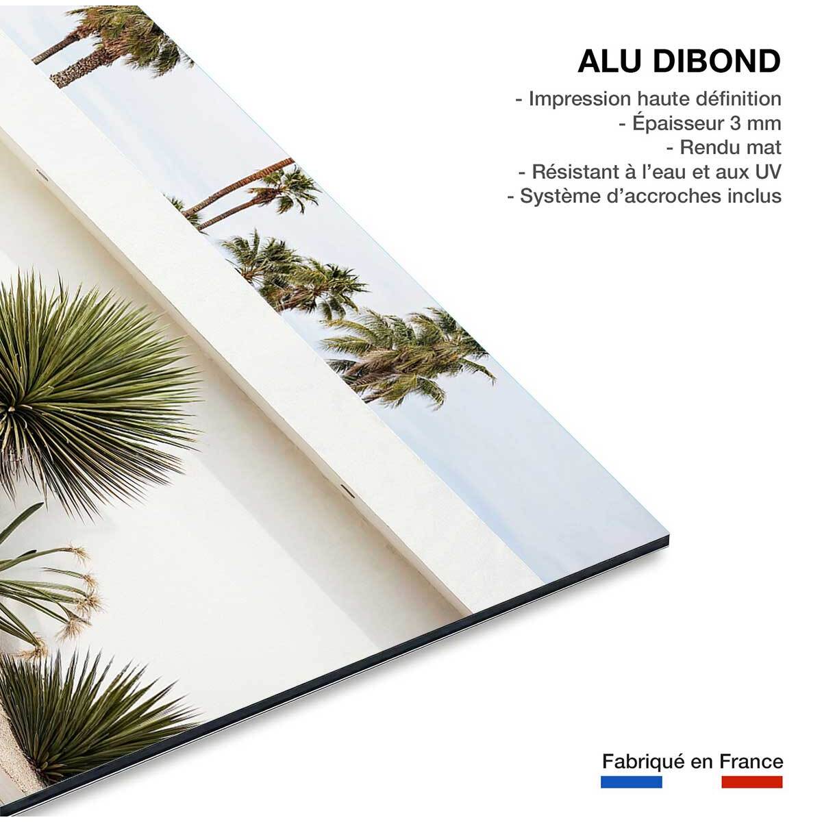 Tableau architecture maison californienne 50s  Tableau alu Dibond