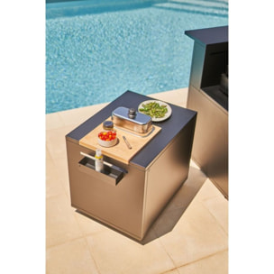 Chariot Plancha FORGE ADOUR DRPAF N Noir Roulant Acier Fermé  colmpatible plancha 80 cm DRPAF N Roulant Plancha Acier Fermé Noir